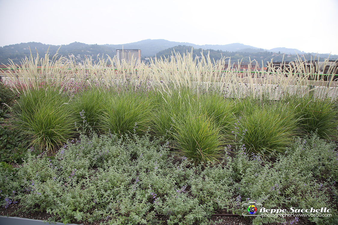 VBS_9685 - Parco Pensile Lingotto.jpg